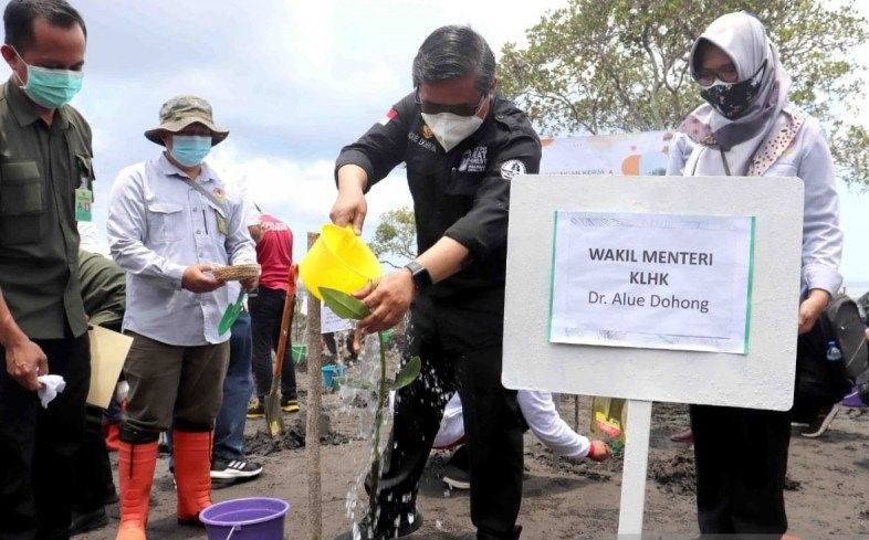 podiumnews.com-Wamen LHK Ikuti Program Padat Karya Penanaman Mangrove di Buleleng